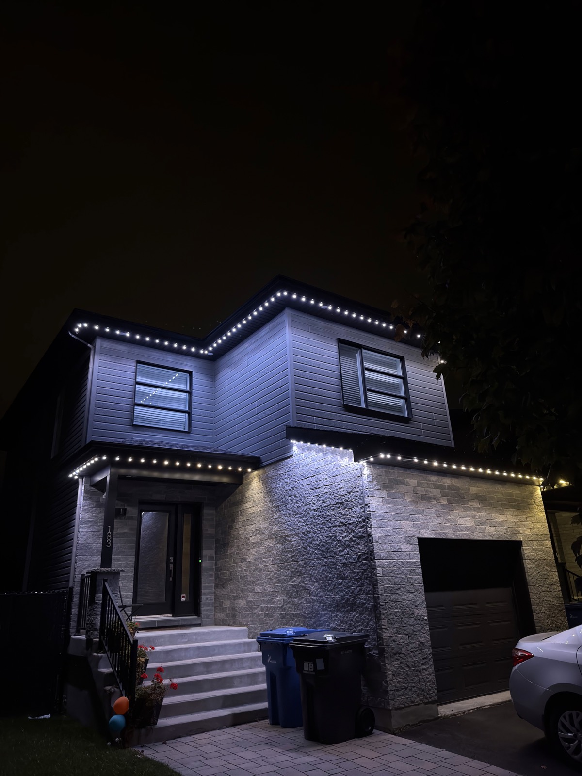 Projet d'installation de lumières LED permanentes Luminov